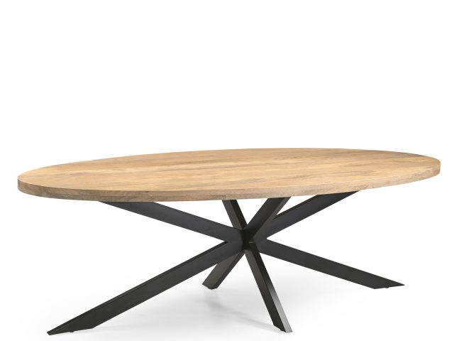 Eetkamertafel Ellips 25+25 220