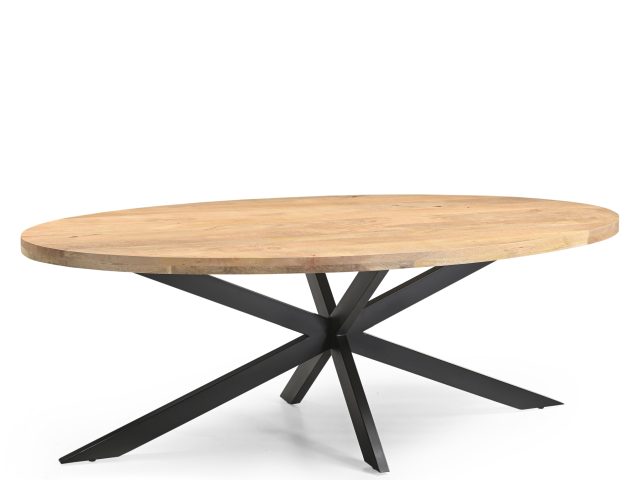 Eetkamertafel Ellips 25+25 240
